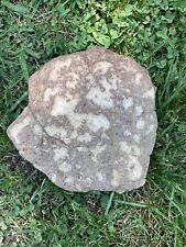 23 Lb + Indiana Geode  Crystals , minerals,fossil   Intact Jewelry Lapidary picture
