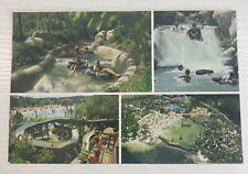 Vintage Walt Disney River Country Postcard picture