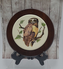 Vintage Owl Ceramic Tile in Wood Trivet Wall Hanging MCM Retro picture