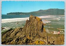Beach Scene Cape Flattery WA Rock Formation Vintage Continental Postcard B9 picture