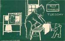 Arts Crafts 1907 Tuesday Bear ironing Comic Humor artist Postcard 21-6889 picture