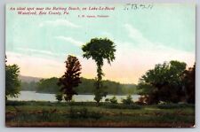 Bathing Beach Lake LeBoeuf Waterford Erie County Pennsylvania 1910 Postcard picture