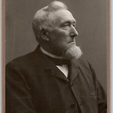 c1890s Milwaukee, Wis Chin Patch Old Man Silver Fox Cabinet Card Photo Stein B10 picture