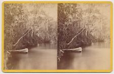 FLORIDA SV - Ocklawaha River - Graham's Landing - JN Wilson 1880s picture