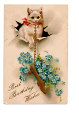 White Cat, Pink Bow, Antique Postcard, Forget Me Knots, Birthday, WOB, UNposted picture