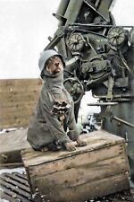 Antique WW2 Dog Photo 2694 Oddleys Strange & Bizarre picture