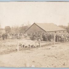 1910s Farm Auction RPPC Crowd Sheep Livestock Sale Real Photo Barn Men Lamb A186 picture