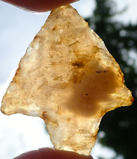 Translucent Gem Coral Newnan Florida Georgia artifacts deep south arrowheads AL picture