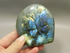 Butterfly Figurine Labradorite  Stone Animal Insect Carving #O4 picture