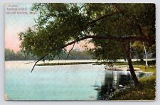 c1908~Grand River Scene~Boats on Shore~Grand Rapids Michigan MI~Antique Postcard picture