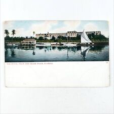 Royal Palm Hotel Miami Postcard c1905 Sailboat River Boats Marina Art Card A2509 picture