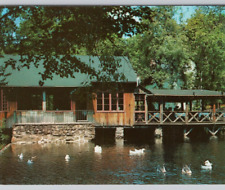 Geese at Cobb's Mill Inn by Waterfall Weston-Westport CT 1960s VTG Postcard UNP picture