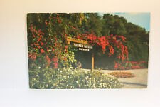 Postcard Sunken Gardens Of St. Petersburg FL picture