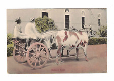 Vintage Postcard - c1904 - Bullock Ekka, India picture