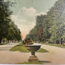Postcard IL North State Street Litchfield Illinois ANC NY Newvochrome 1909-1910 picture