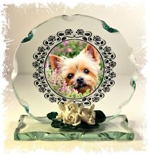 Yorkshire Terrier  a Collectable crystal Cut glass Plaque keepsake Unusual #8 picture