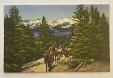 Vtg Union Pacific Postcard, Horseback Riding in the Colorado Rockies, Unposted picture