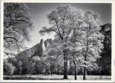 postcard Ansel Adams Sentinel Rock, Oak Trees, Autumn, Yosemite California picture
