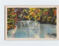 Postcard River Trees Nature Scenery picture