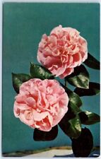 Postcard - A Camellia For You picture