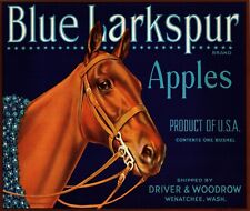 15 Vintage BLUE LARKSPUR Brand Apple Fruit Crate Labels Wenatchee, Washington picture