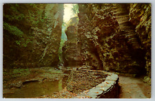 c1960s View Gorge Vista Diamond Falls Watkin Glen Trail Vintage Postcard picture