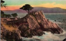 Monterey CA 17 Mile Dr Midway Point Vintage Postcard Hand Colored Collotype 1930 picture