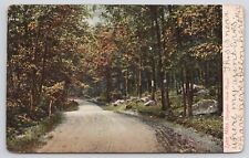 Lynn MA Dungeon Rock Road Posted 1906 Undivided Postcard picture