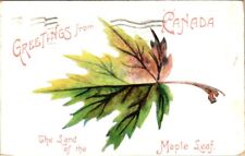 vintage postcard- Greetings from Canada land of the maple leaf posted early 1900 picture
