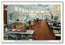 1935 Interior Of Libby Museum Wolfeboro Lake Winnipesaukee NH Vintage Postcard picture