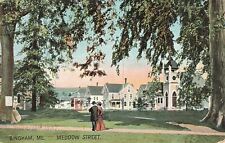 Vintage 1907 Postcard Bingham Main Meddow Street couple walking color photo picture