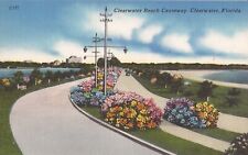 Clearwater, FLORIDA - Clearwater Beach Causeway - Cars & Flowers picture