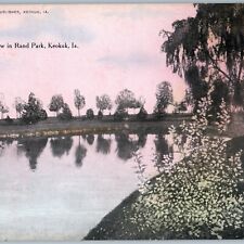 c1910s Keokuk, IA Rand Park Lovely Weeping Willow Art Illustration Westcott A189 picture