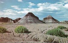Postcard AZ Arizona Petrified Forest Nat'l Park Painted Desert Teepees  picture
