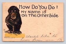 Antique Postcard Chimp Chimpanzee 1907 by R Anderson How Do you Do? Old picture