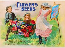 1896 Lippincott  Vintage Flowers Fruit Seed Packet Catelogue Poster Art Print  picture