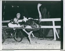 1938 Racing Ostrich International Sports Outdoor Show Chicago Wirephoto 7X9 picture