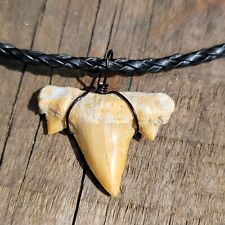 Black Braided  OTODUS Great Medium Shark Tooth Necklace Fossil picture
