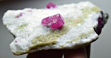 483 CT. Well Terminated Lustrous Ruby Crystals, Pyrite on Matrix@Afghan picture