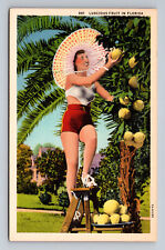 1935 Luscious Fruit in Florida Woman in Heels Picking Pumelo Grapefruit Postcard picture