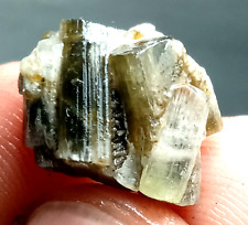 14 Carats Beautiful Top Quality Tourmaline Crystal specimen @ Afghanistan picture