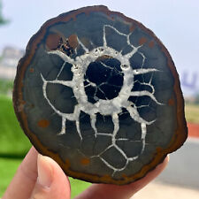 209G Natural Crystal Moroccan Turtle Back Stone Cutting Quartz Energy Spirit-A9 picture