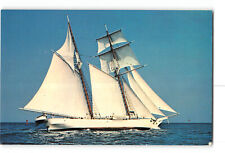 Clipper Schooner Shenandoah Vintage Postcard Sails Out of Vineyard Haven Cruise picture