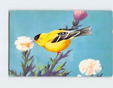 Postcard American Goldfinch (Spinus Tristis) picture