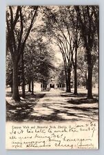 Oberlin OH-Ohio, Tappan Walk and Memorial Arch, Vintage c1906 Souvenir Postcard picture
