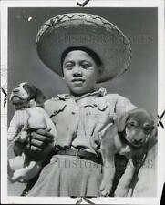 1964 Press Photo Boy poses with his puppies in Mexico City - afa09155 picture