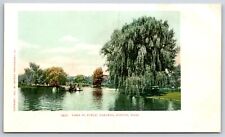 Boston Massachusetts~Public Gardens Lake~WIllow Tree~c1905 Postcard picture