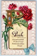 Hoskins Nebraska NE Postcard Large Letter P Pink Flowers Nash Embossed 1912 picture