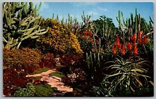 Vintage Postcard - Moir's PA'U-A-LAKA Gardens - Koloa Kauai Hawaii - HI picture