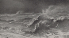 Seagull Narrowly Escapes the Angry Ocean Undivided Back Vintage Post Card picture